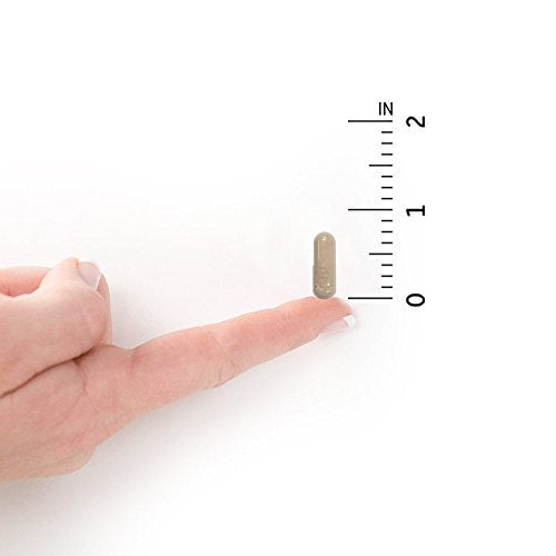 Garden of Life Vitamin Code Raw One for Women, Once Daily, Gluten Free Vegetarian, 30 Capsules