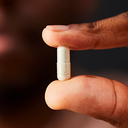 Solgar Gentle Iron Unflavored 180 Veg Capsules