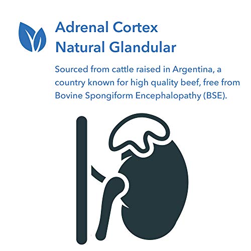 Allergy Research Group - Adrenal Cortex Glandular - Stress, Energy, Adrenal Support - 100 Vegicaps