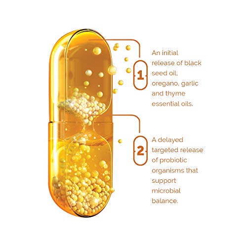Zahler CandAid Candida Support 60 Timed Release Capsules