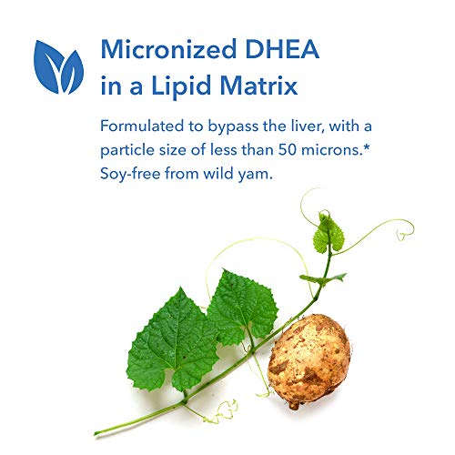 Allergy Research Group - DHEA 25 mg -60 Scored Tablets