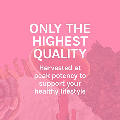 Host Defense Turkey Tail 120 Capsules Unflavored