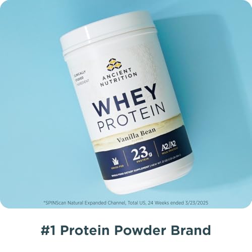 Ancient Nutrition Grass Fed Whey Protein, Milk Chocolate, 23g Protein, 20 Servings