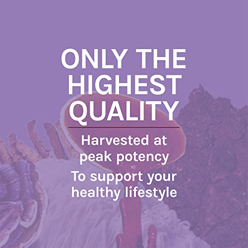 Host Defense Lion's Mane Capsules 60 Count