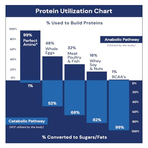 BodyHealth Perfect Amino 300 Coated Tablets