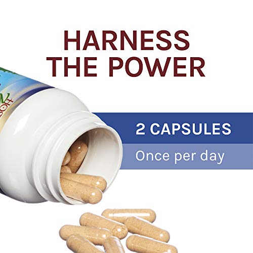 Host Defense Stamets-7, 60 capsules