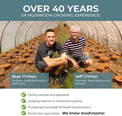 Real Mushrooms Turkey Tail Organic Mushroom Capsules 100 Servings