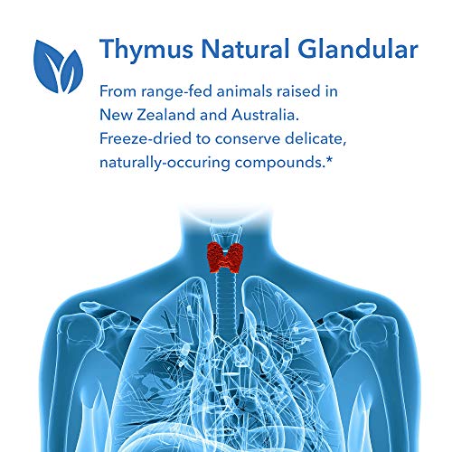 Allergy Research Group - Thymus - Natural Glandular, Immune Support - 75 Vegicaps
