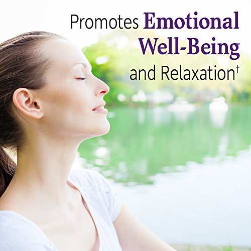 Garden of Life Dr. Formulated Probiotics Mood+ 60 Veggie Caps