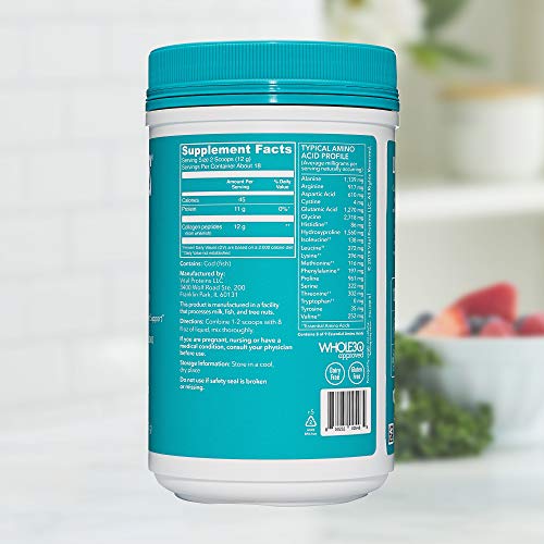 Vital Proteins Marine Collagen Peptides Powder Supplement 7.8 oz Canister