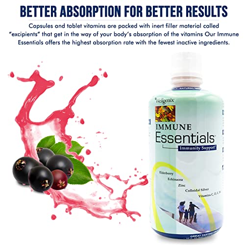 Wellgenix Immune Essentials Fruit Punch Flavor 32 oz