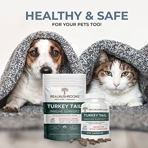 Real Mushrooms Turkey Tail Organic Mushroom Capsules 100 Servings