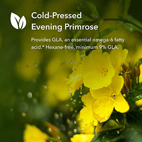Allergy Research Group - EPO Evening Primrose Oil 120 Softgels