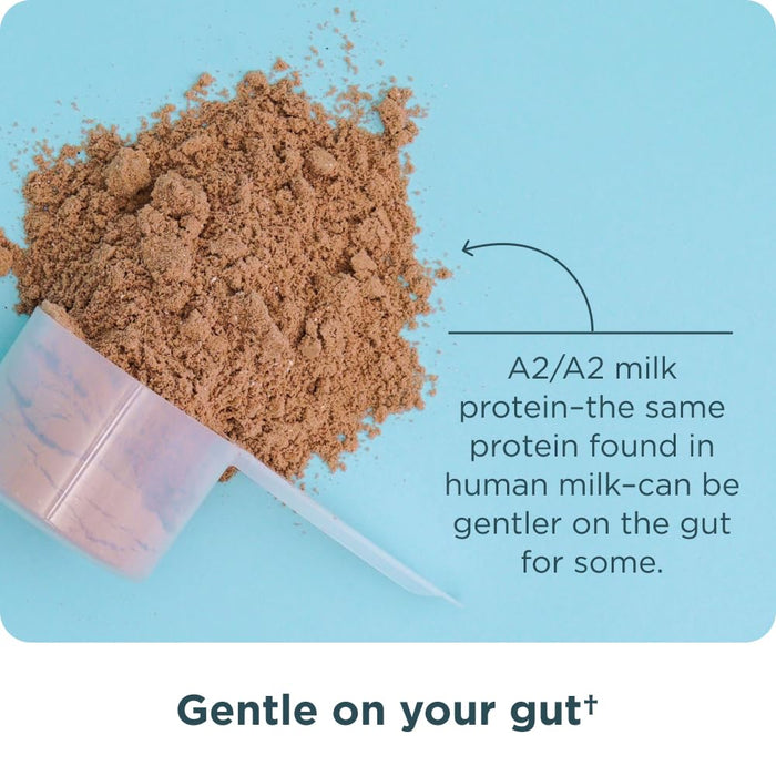 Ancient Nutrition Grass Fed Whey Protein, Milk Chocolate, 23g Protein, 20 Servings