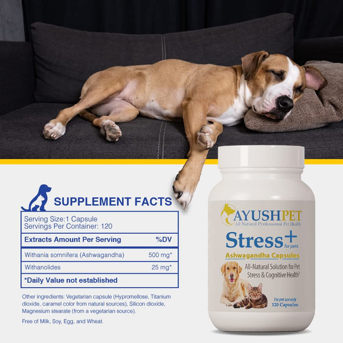 Ayush Pet Stress + Support 120 Capsules