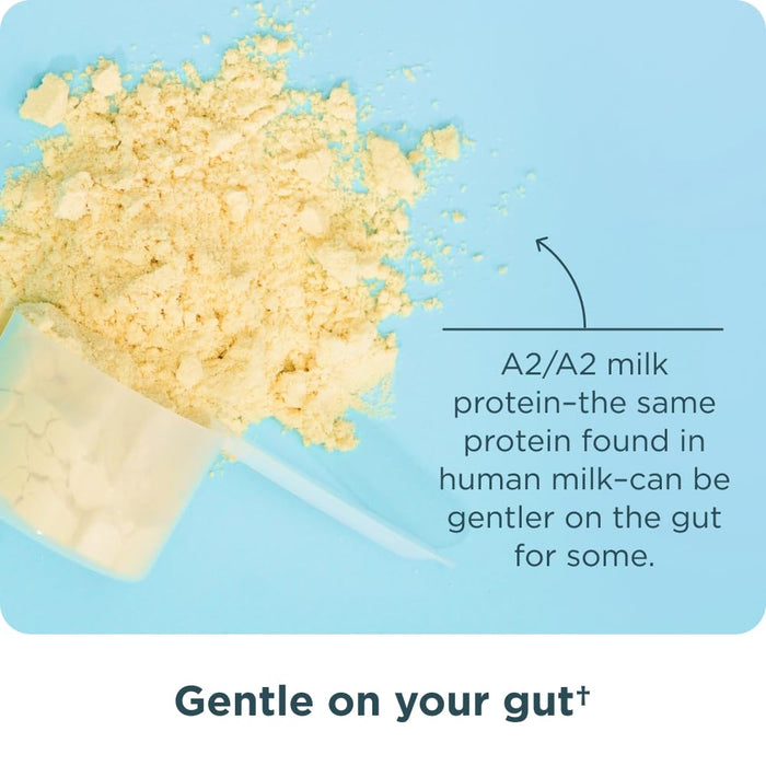 Ancient Nutrition Grass Fed Whey Protein, Vanilla Bean, 23g Protein, 20 Servings