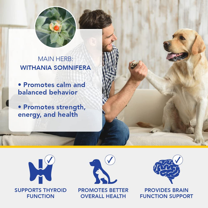 Ayush Pet Stress Support Ashwagandha Drops 2 oz.