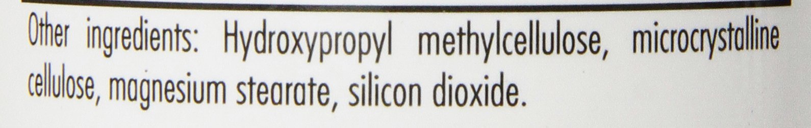 Nutricology Mastic Gum 120 Vegetarian Capsules