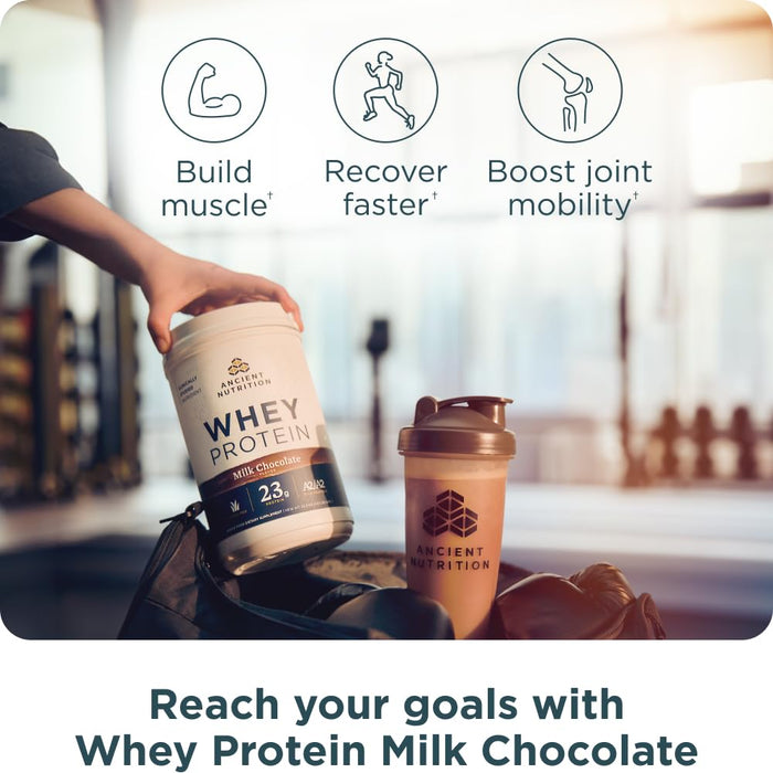 Ancient Nutrition Grass Fed Whey Protein, Milk Chocolate, 23g Protein, 20 Servings