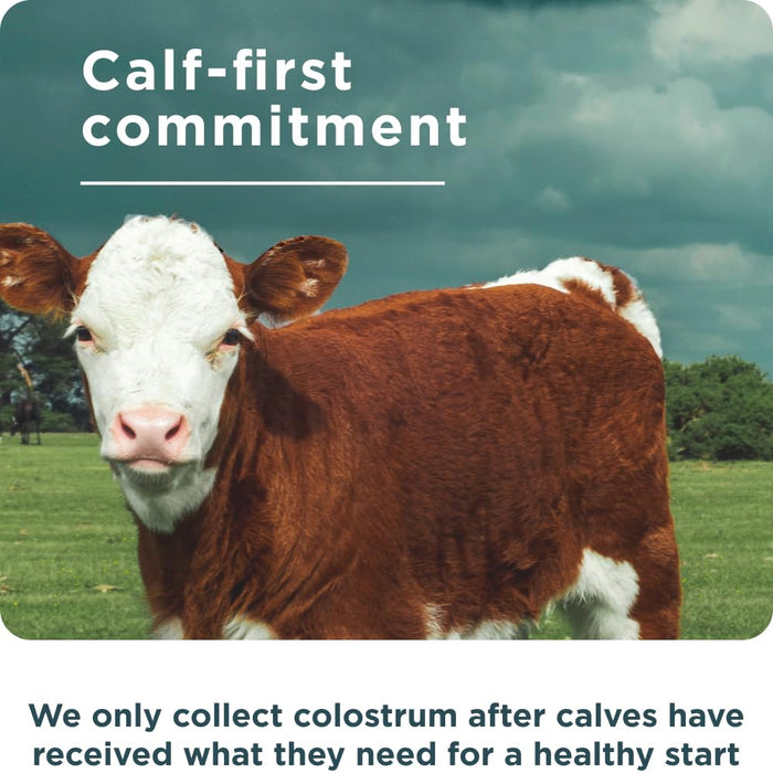 Ancient Nutrition Colostrum Superfood Powder Unflavored 60 Servings-2.8 oz