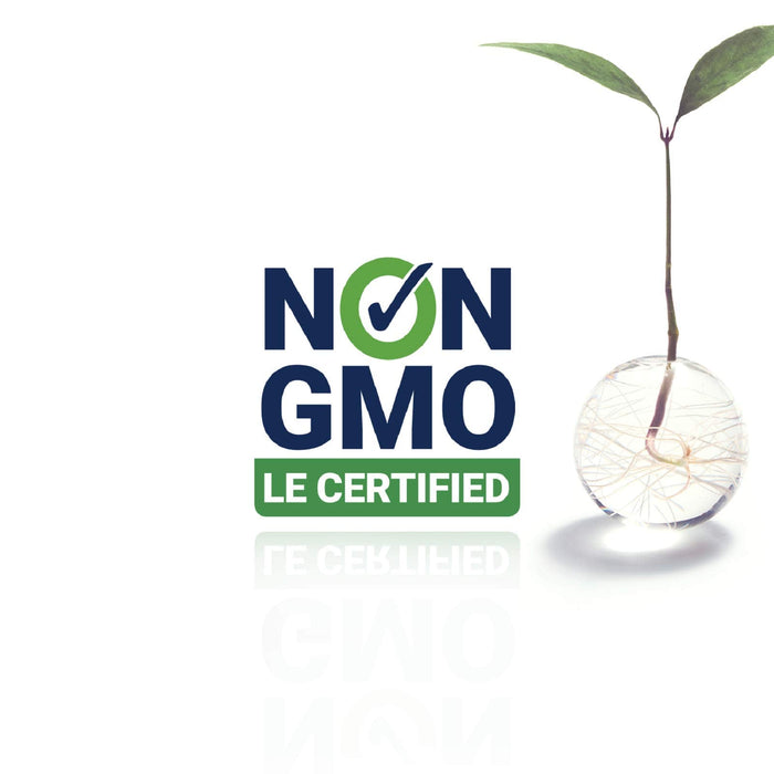 Life Extension Neuro-Mag Magnesium L-Threonate, 90 Vegetarian Capsules