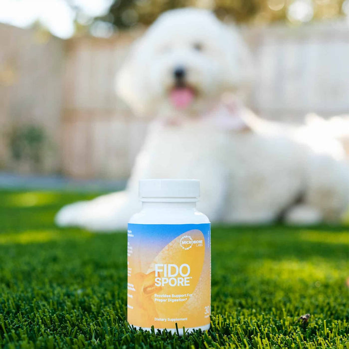 Microbiome Labs Fidospore - Dog Probiotics for Digestive Immune Support  - 30 Capsules