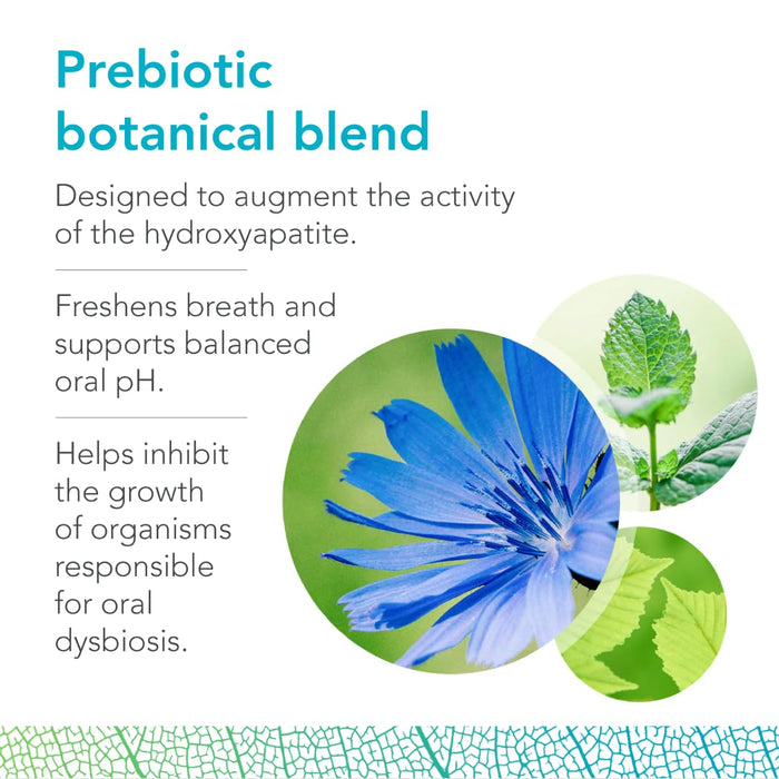 Biocidin Dentalmin Pro Hydroxyapatite Toothpaste, 3.4 oz