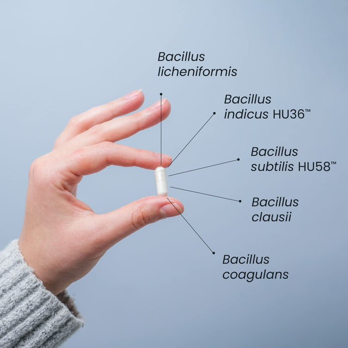 Microbiome Labs MegaSporeBiotic 180 Capsules