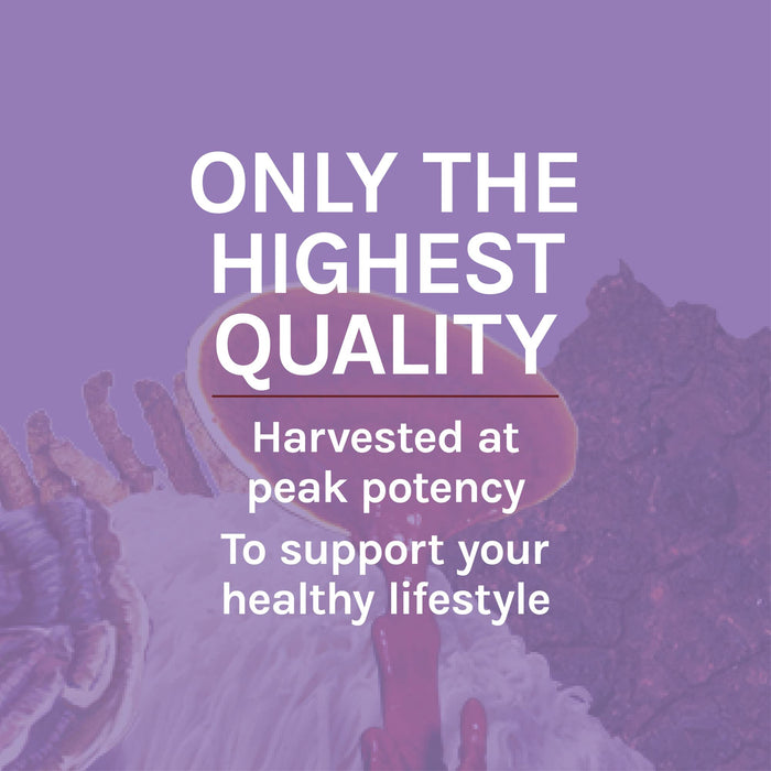 Host Defense Lion's Mane Extract 2 Fl Oz