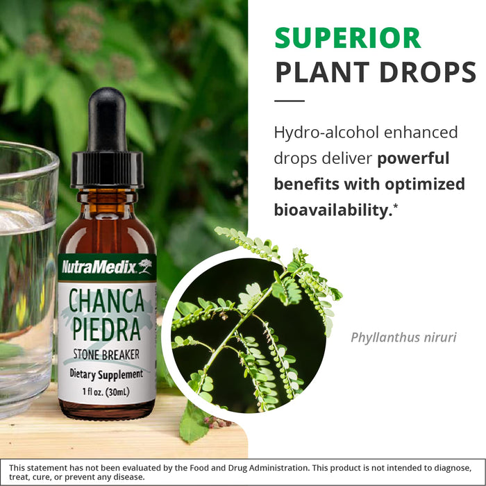 NutraMedix Chanca Piedra Stone Breaker Liquid Drops (1 oz)