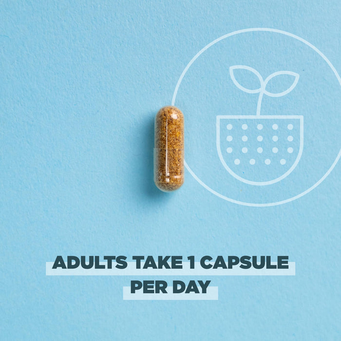 Ancient Nutrition Probiotics Women’s Once Daily - 30 Count