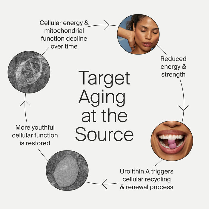 Timeline Mitopure Urolithin A Supplement 60 Gummies