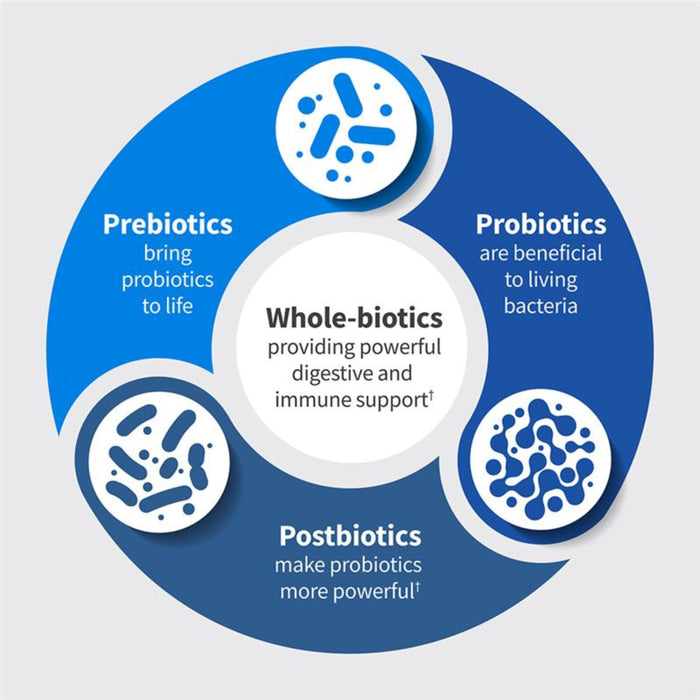 Garden of Life Dr. Formulated Microbiome Balance – 12 Probiotic Strains, 30 Vegetarian Caps