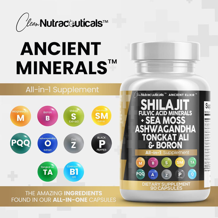 Clean Nutraceuticals Shilajit Supplement 90 Count