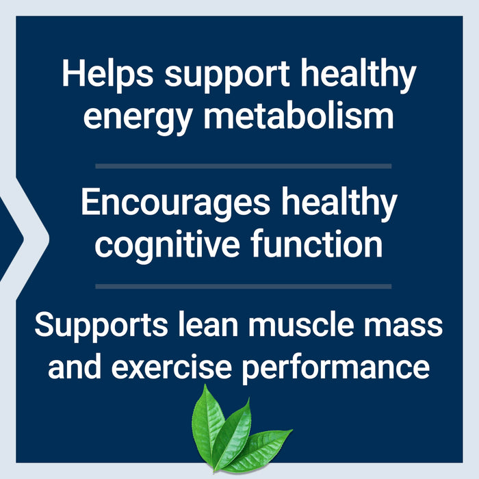 Life Extension, Creatine & Acetyl-L-Carnitine, Energy Plus Life Extension, Creatine & Acetyl-L-Carnitine, Energy Plus