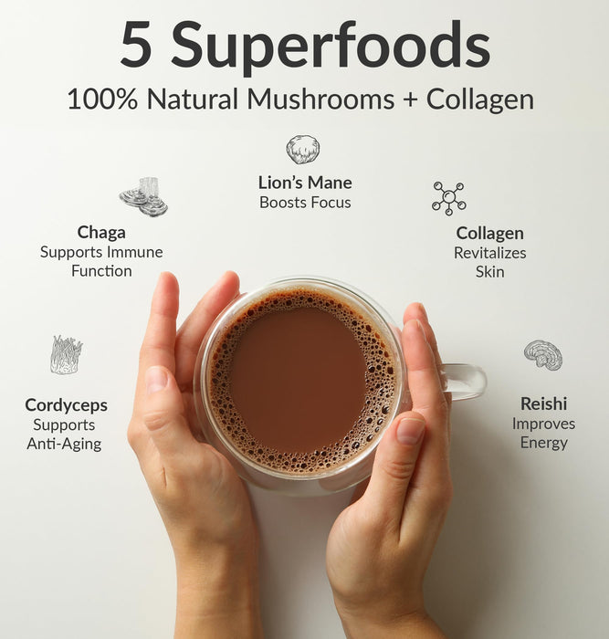 BiOptimizers Mushroom Breakthrough – Chocolate Drink – Lion’s Mane, Chaga, Reishi + Collagen Peptides 15 Servings