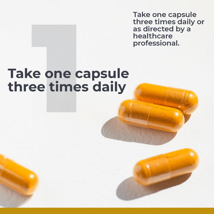 Premier Turmeric 60 vegan Capsules