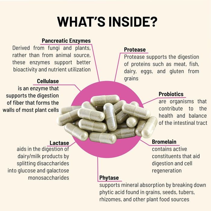 Mountain Peak Nutritionals Digestive Enzymes & Probiotics for Gut Health & Bloating Relief - 90 Vegetarian Capsules