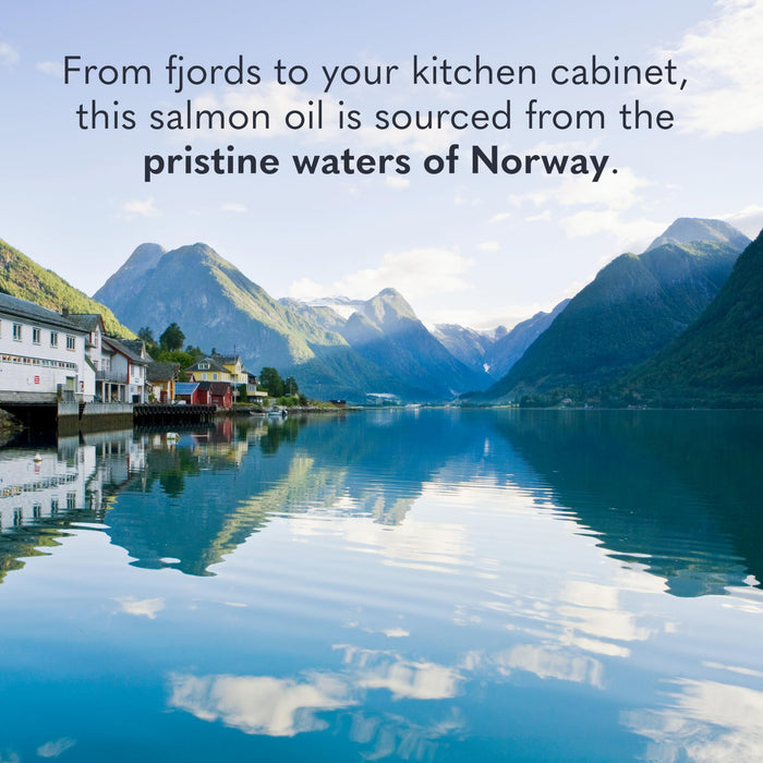 Garden of Life Dr. Formulated Norwegian Salmon Oil  60 Softgels