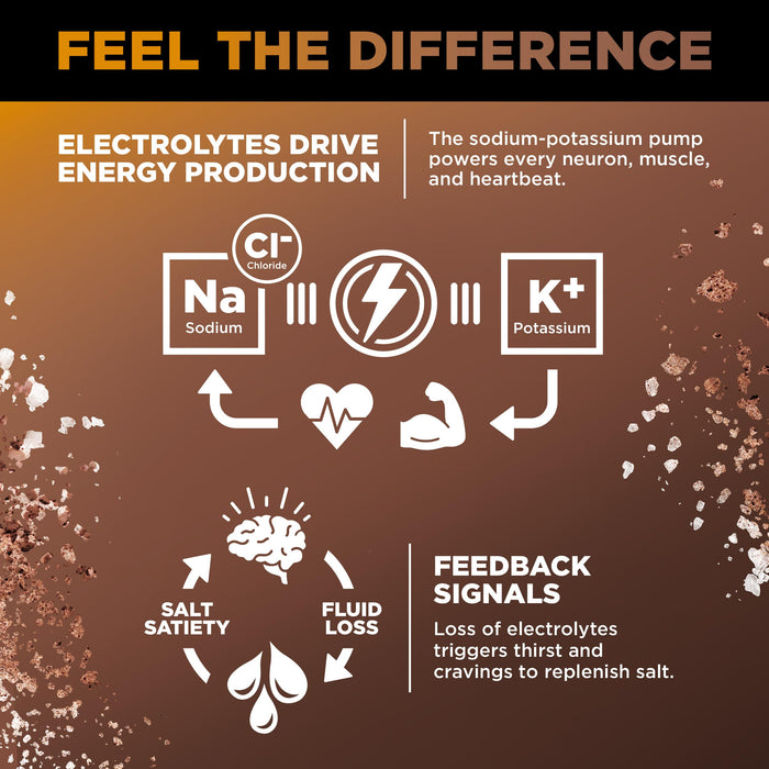 LMNT Zero Sugar Chocolate Caramel Salt Drink Mix 30 Count