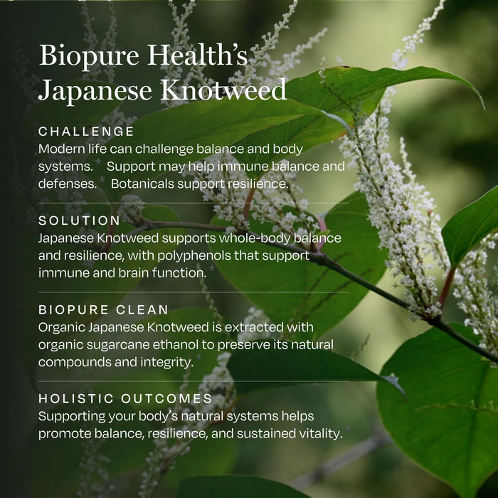 BioPure Japanese Knotweed Tincture, 84 Servings