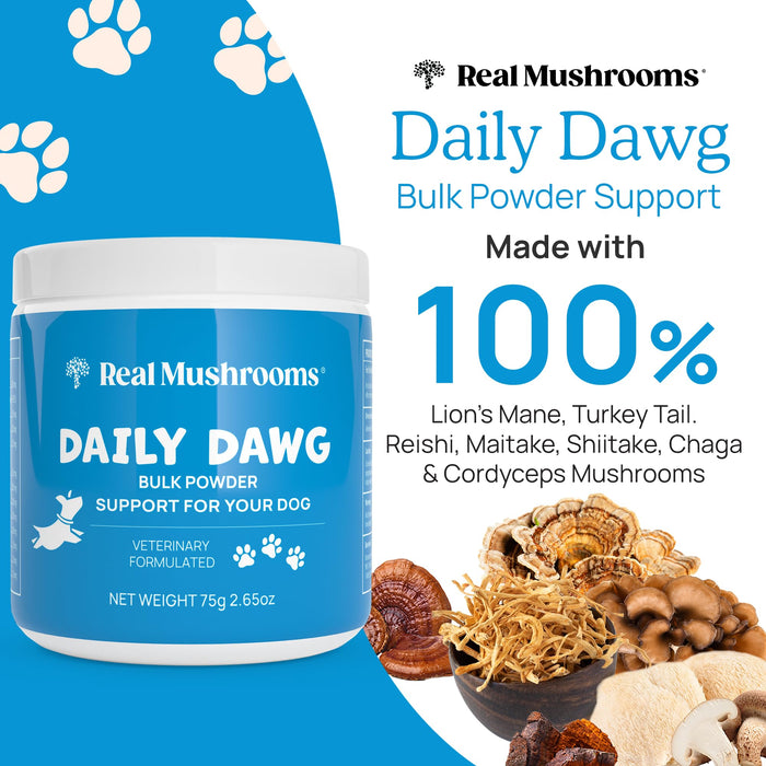 Real Mushrooms Daily Dawg Mushroom Extract Powder Support - (2.65 oz)