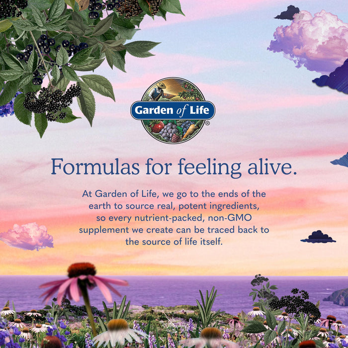 Garden of Life Dr. Formulated Blood Sugar Biotic, 60 Capsules