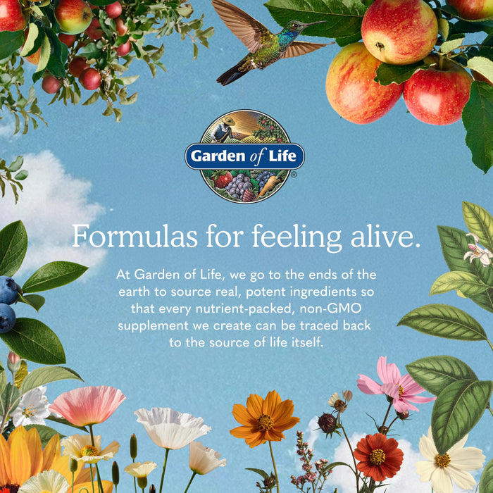 Garden of Life Organics Extra Strength Turmeric - 60 Tablets