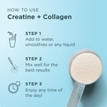 Ancient Nutrition Creatine + Collagen 30 Serving