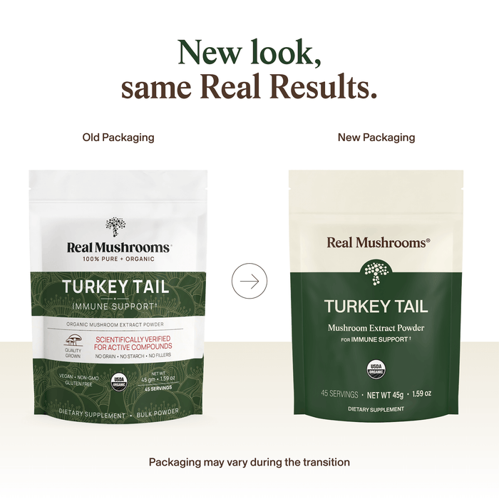 Real Mushrooms Turkey Tail Powder 45gm, 1.59oz, 45 Servings