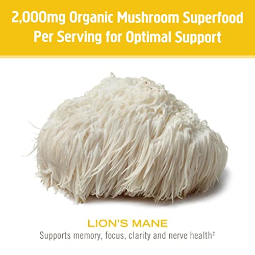 Om Mushroom Superfood Lion's Mane Organic Mushroom Powder 7.05 Ounce