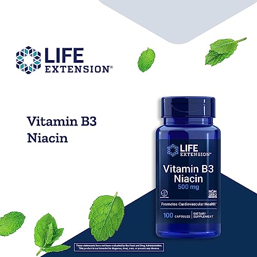 Life Extension Vitamin B3 Niacin 500 mg 100 Capsules