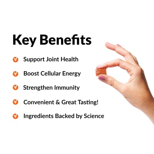 Force Factor Better Turmeric Joint Support Supplement 60 Soft Chews