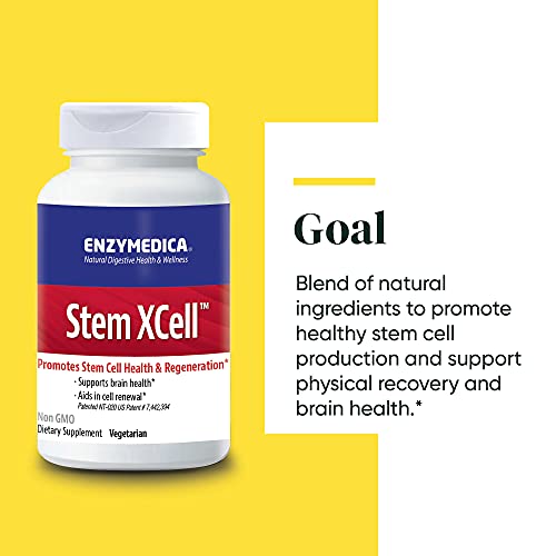 Enzymedica, Stem XCell, Enzyme and Antioxidant Support for Brain and Cellular Health, 60 Capsules